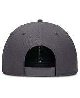 Nike Men's Gray Minnesota Twins Club Performance Adjustable Hat