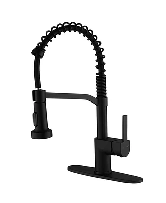 Single-Handle Pull-Down Sprayer Spray High Arc Kitchen Faucet
