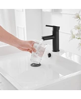 Single Hole Single-Handle Bathroom Faucet With Pop Up Drain in Matte Black