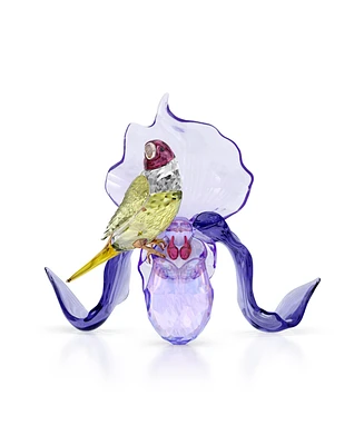 Swarovski Idyllia Gouldian Finch and Orchid Figurine