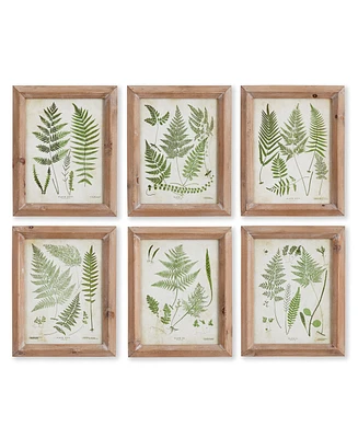 Assorted Frond Study Petite, Set Of 6