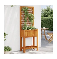 Planter with Trellis and Shelf 21.7"x11.6"x59.8" Solid Wood Acacia