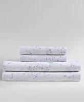 Calvin Klein Printed 300-Thread Count Cotton Sateen 4-Pc. Sheet Set