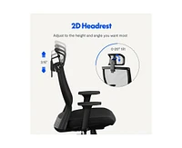 FlexiSpot C4B Ergonomic Mesh High-Back Office Chair, Black