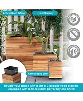 Indoor/Outdoor Wooden Planter Boxes - 3 Acacia Wood Square Plant Pots with Removable Plastic Liners - Anthracite Stain