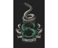 Harry Potter Men's Slytherin Snake Black T-shirt-4XL