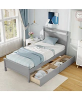 Wooden Bed Frame with 2 Drawers for Teens and Adults