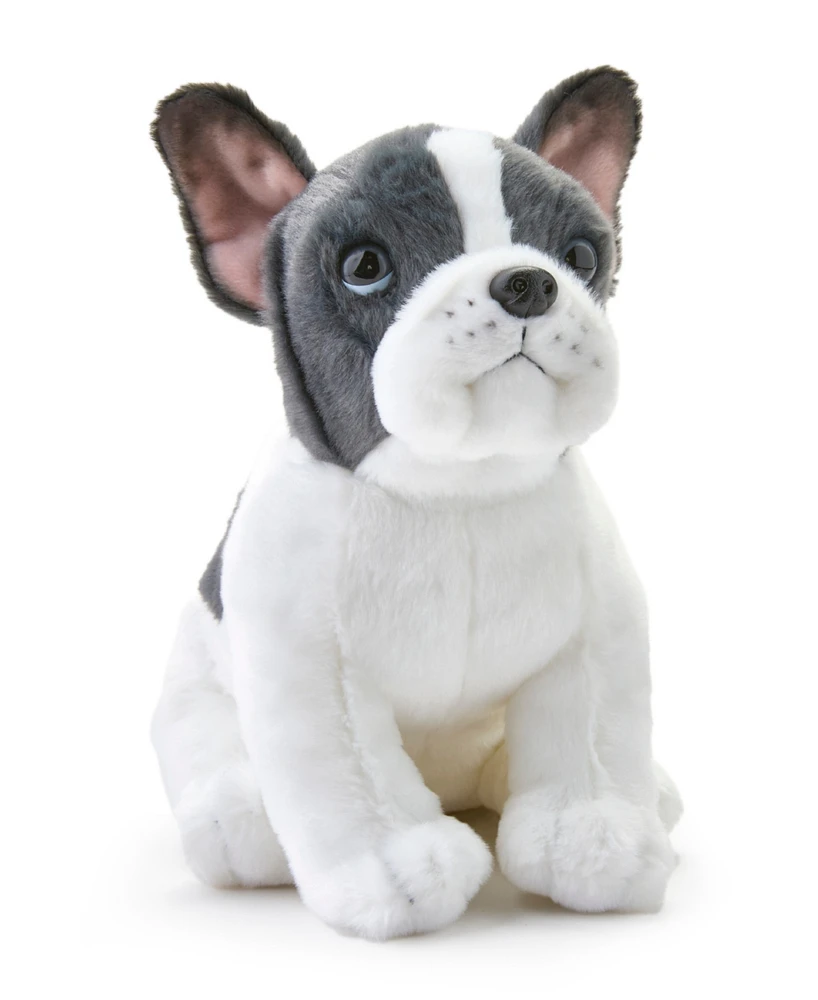 Geoffrey's Toy Box French Bulldog Puppy Dog Plush, Created for Macy's