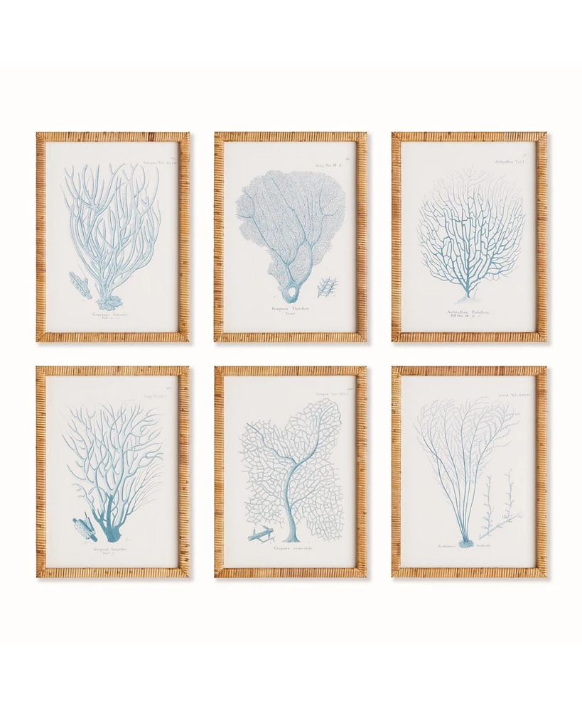 16"W x 1"D x 22"H Sea Fan And Coral Study In Blue Framed Wall Art Set of 6