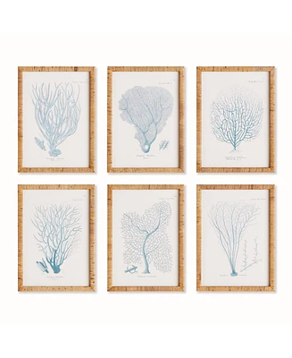 16"W x 1"D x 22"H Sea Fan And Coral Study In Blue Framed Wall Art Set of 6