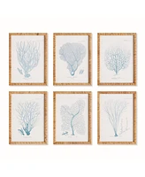 16"W x 1"D x 22"H Sea Fan And Coral Study In Blue Framed Wall Art Set of 6