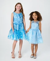 Rare Editions Toddler and Little Girls Floral Organza Social Dress