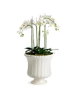 Coletta Grande Flared Vase