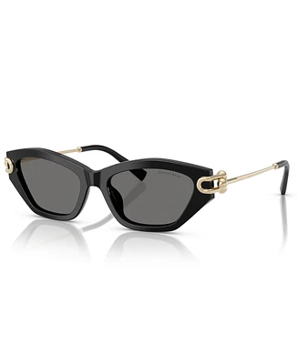 Tiffany & Co. Women's Polarized Sunglasses