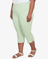 Hearts Of Palm Plus Solid Tech Stretch Pull On Pants
