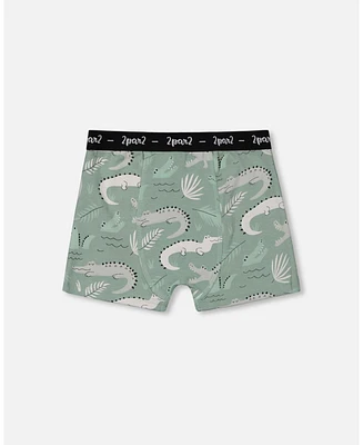 Boy Printed Cotton Boxer Shorts Light Sage And Gray Crocodile - Toddler|Child