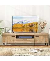 Tv Stand with 2 Cabinets and Storage Drawer Stylish Entertainment Console for Living Room