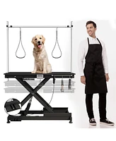Super Deluxe Electric Pet Grooming Table, Color
