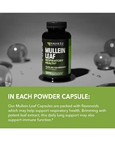 Mullein Leaf Extract Capsules, Lung & Respiratory Health, Daily Respiratory Health Supplement, Lung Support, Havasu Nutrition, 90ct