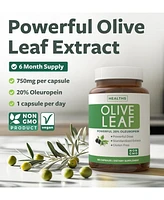 Olive Leaf Extract Capsules, Cardiovascular and Immune Health, Health's Harmony, 180ct