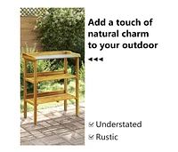 Potting Bench with 2 Shelves Solid Acacia Wood and Zinc