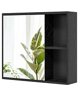 Bathroom Medicine Cabinet with Single Mirror Door