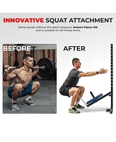 Sunny Health & Fitness Belt Squat Attachment for Power Racks and Cages, Full Body Workout – Sf-XFA015