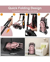 4-in-1 Double Pet Stroller with Detachable Carrier and Travel Carriage