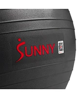 Sunny Health & Fitness Premium Yoga Ball Large 75CM Anti-Burst Exercise Ball for Workouts, Pregnancy, Physical Therapy, Stability Ball Chair Fitness,