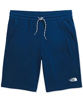 The North Face Big Boys Never Stop Shorts