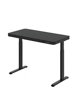 Flexispot EG9B-e, Electric Height Adjustable Glass Top Standing Desk, Black