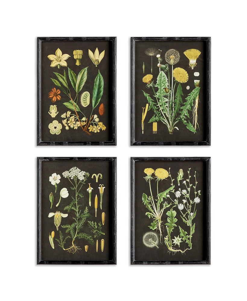 Golden Botanical Study, Set Of 4