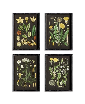 Golden Botanical Study, Set Of 4