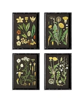 Golden Botanical Study, Set Of 4