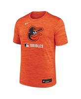 Nike Men's Baltimore Orioles Authentic Collection Velocity Performance Practice T-Shirt