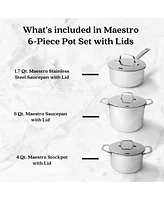 Alva Maestro Professional Stainless Steel Cookware Set - Premium Stock Pot & Saucepan with Lids - Non-Toxic, Pfas/Pfoa/Ptfe-Free Kitchen Essentials