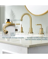 2-Handle Bathroom Sink Faucet with Drain Assembly lavatory Pop Up and cUPC Supply Hoses, Brushed Gold