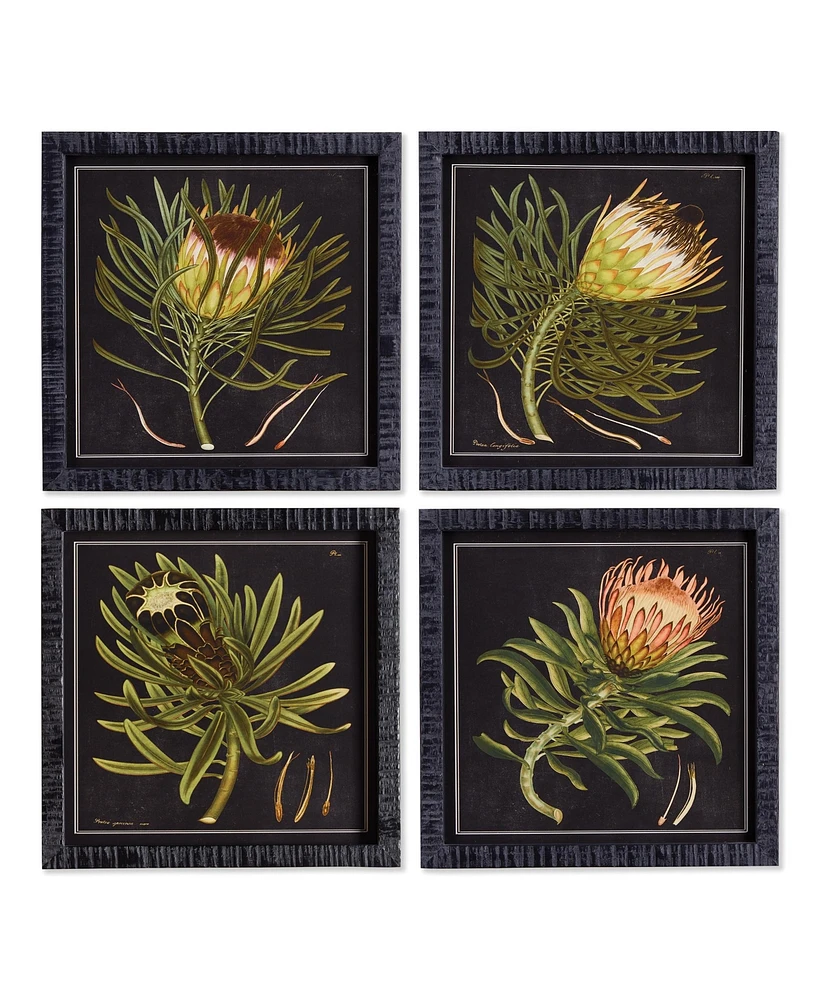 Protea Petite Prints, Set Of 4