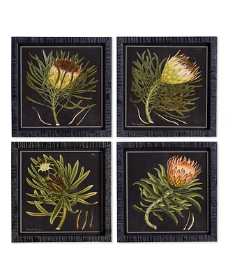Protea Petite Prints, Set Of 4