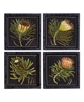Protea Petite Prints, Set Of 4