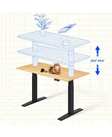 Flexispot E7-commercial W Electric Adjustable Standing Desk, Bamboo Top