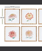 Colorful Chrysanthemum Prints St/6