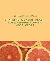 Aromatique Grapefruit Fandango Standard Decorative Fragrance Bag