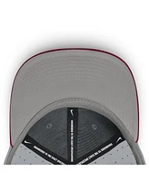 Nike Men's Florida State Seminoles On-Field Dugout True Performance Fitted Hat