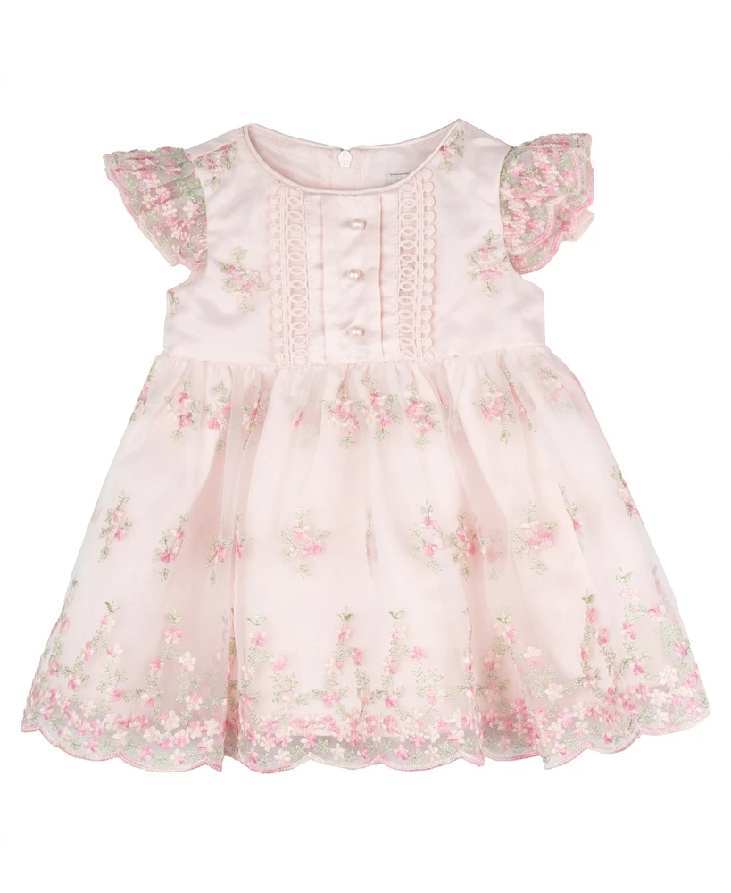 Rare Editions Baby Girls Embroidered Organza Social Dress