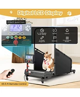 Indoor Pet Exercise Equipment with Remote Control