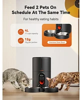 Automatic Cat Feeders 2 Cats Timed Cat Feeder with Stainless Steel Bowl, Programmable 1-6 Meals Control, Dual Power Supply Auto Pet Feeder for Cats an