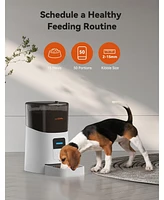 6L Automatic Cat Feeder, WiFi Automatic Dog Feeder with App Control for Remote Feeding, Automatic Cat Food Dispenser with Low Food Sensor and Voice Re