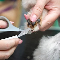 Ocean Plastic by Pt Blue Pet Nail Clipper, Eco-Friendly Grooming Tool for Dogs and Cats