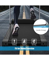 Electric Foldable Treadmill with Lcd Display and Heart Rate Sensor